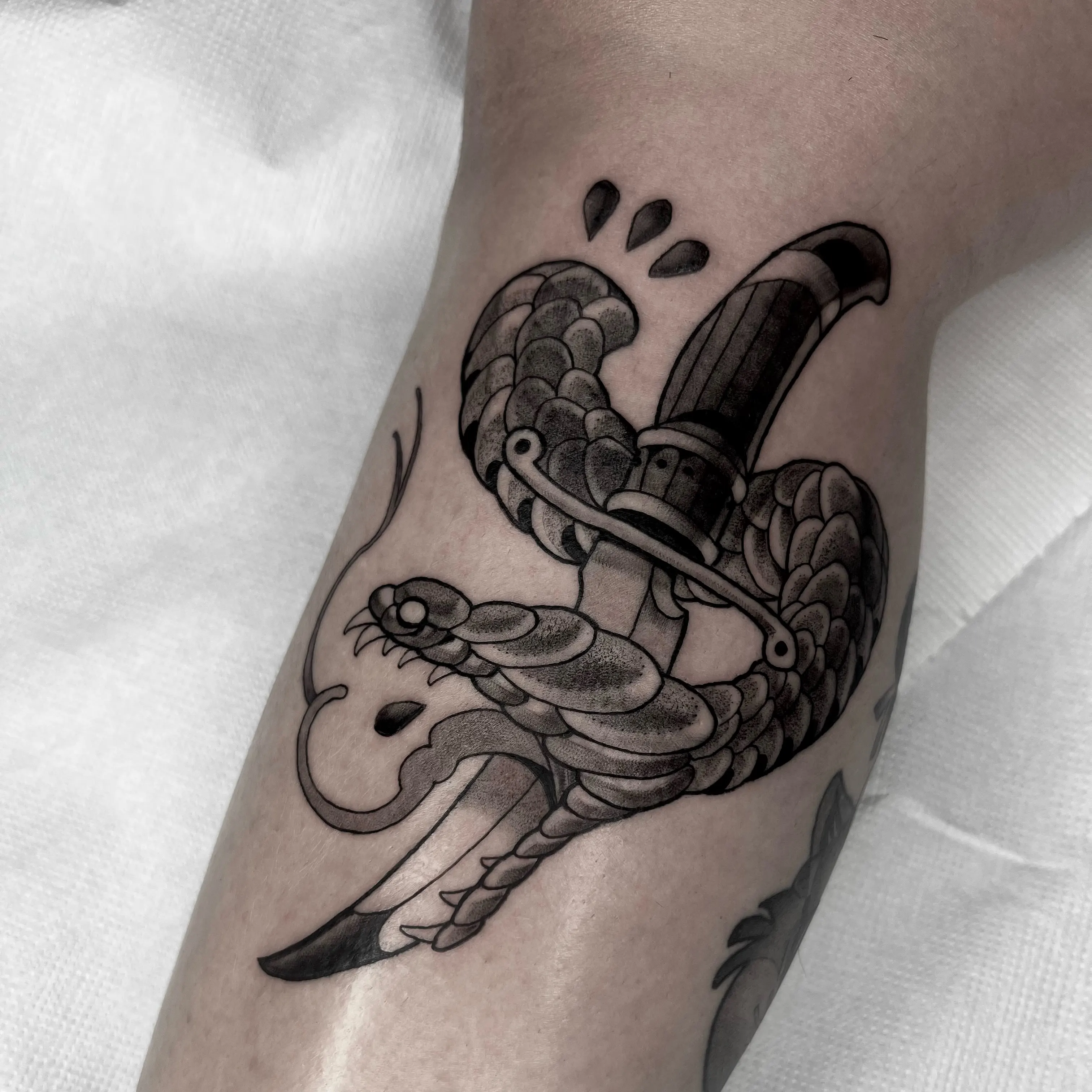 Tatuaje blackwork de serpiente enroscada con sombreado denso en negro en el antebrazo